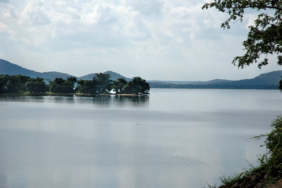 Minneriya National Park